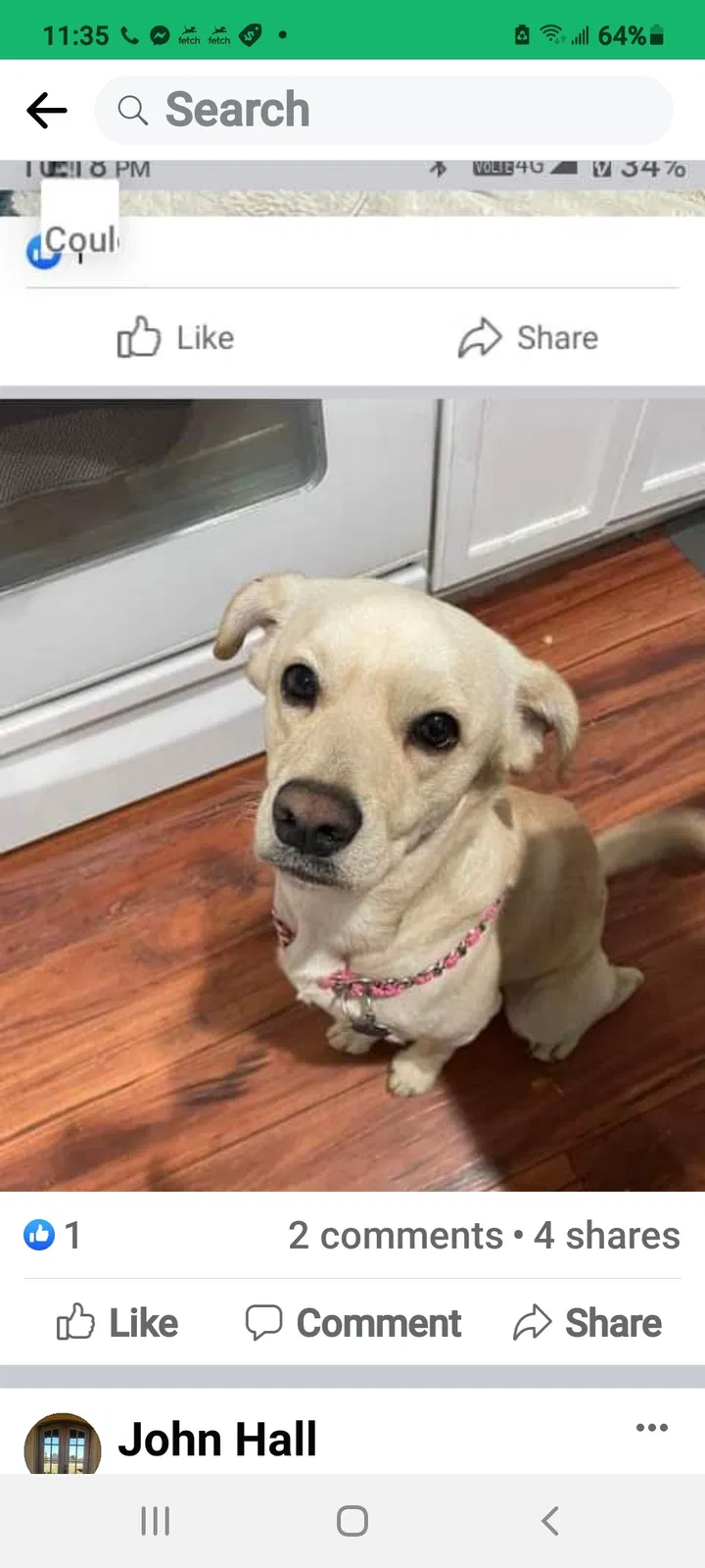 Lost dog in Shreveport, LA, 71104