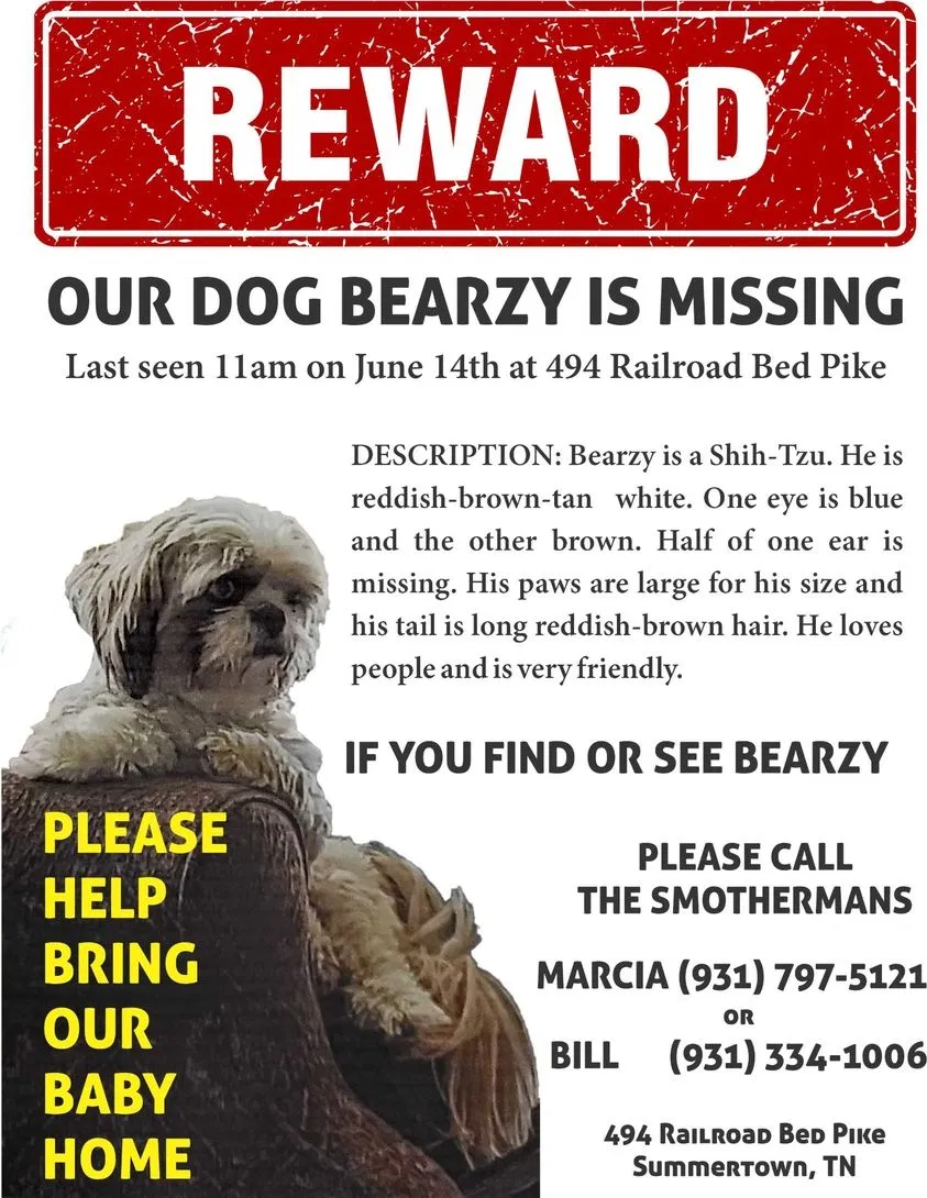 Lost dog in Summertown, TN, 38483