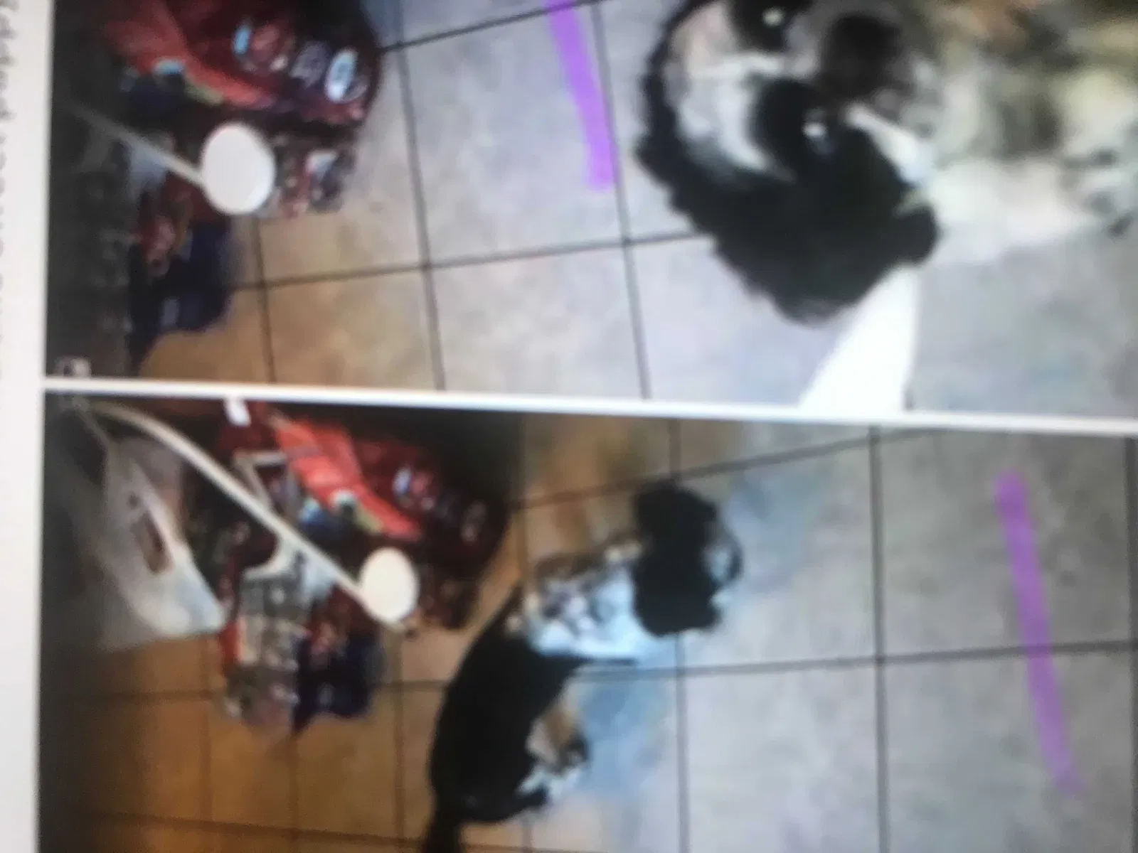 Lost dog in Oklahoma City, OK, 73132
