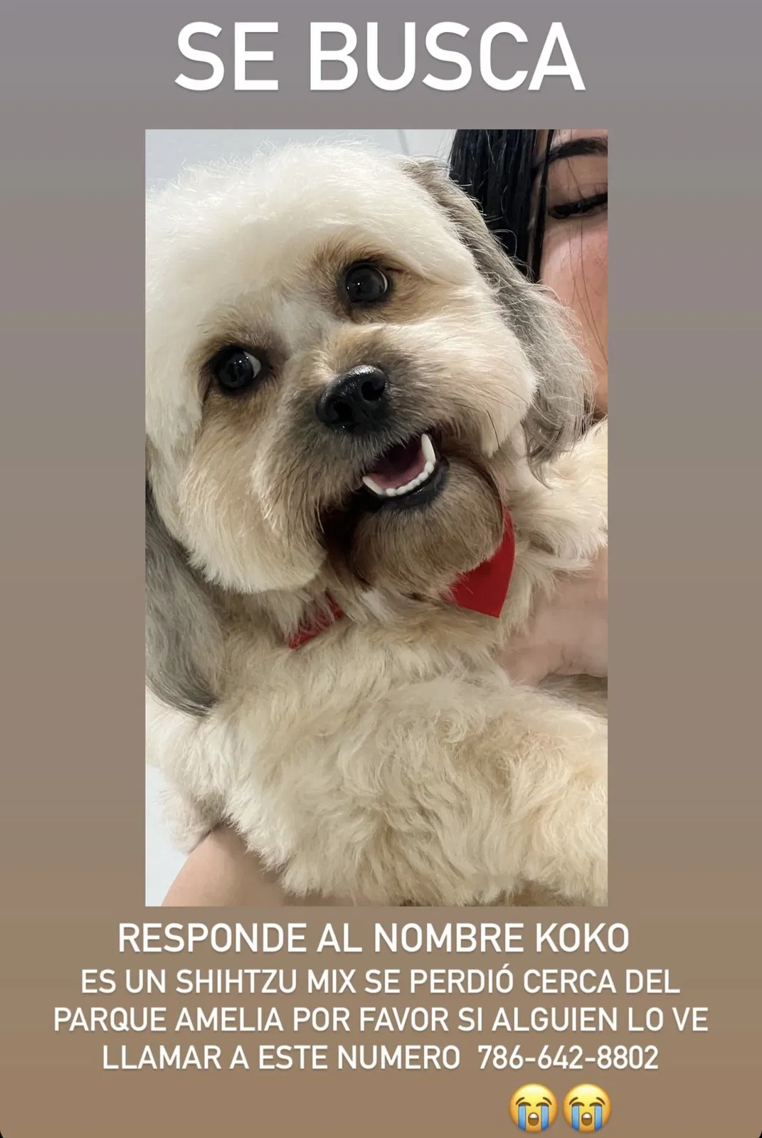Lost dog in Hialeah, FL, 33012