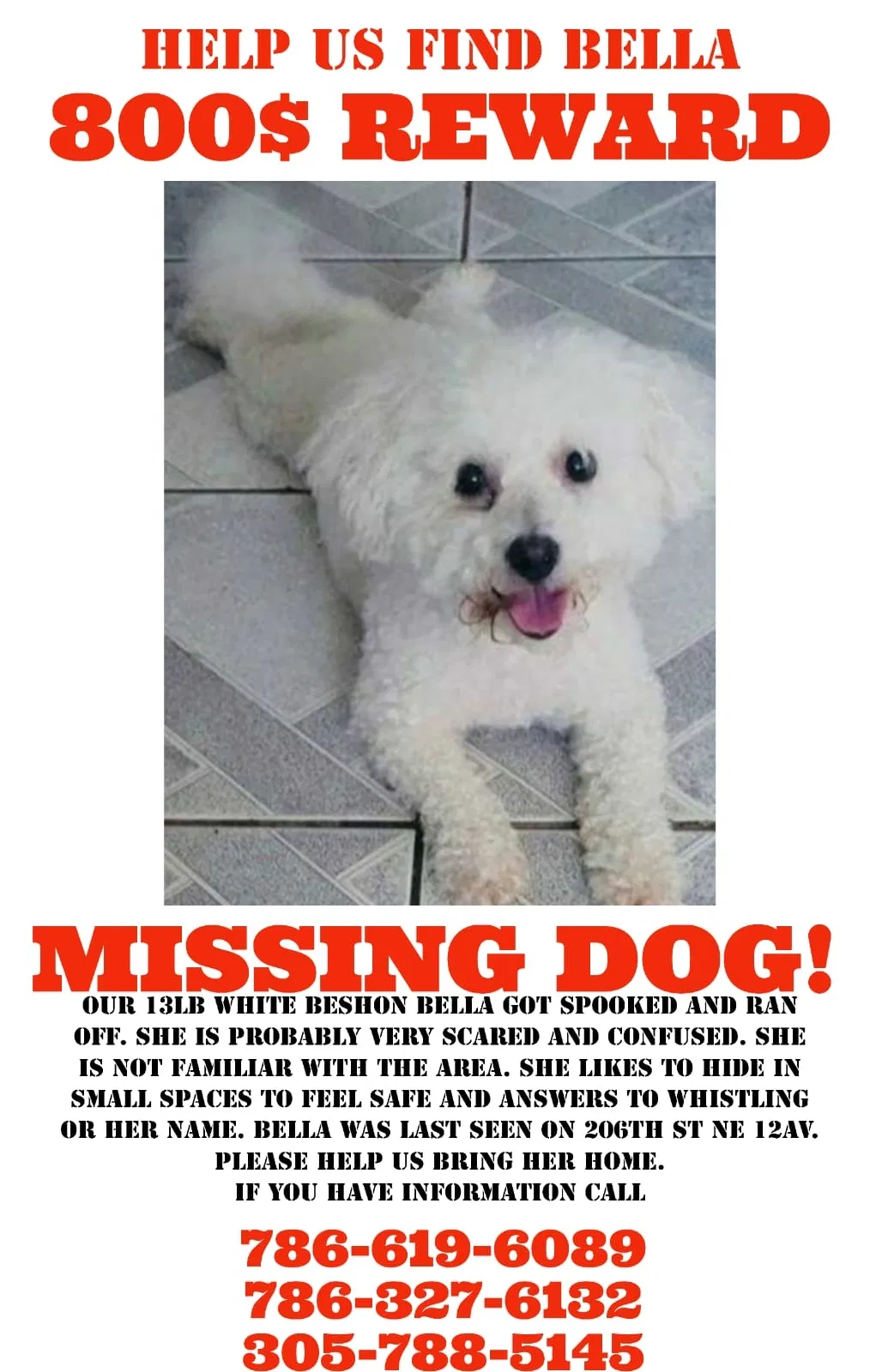Lost dog in Miami, FL, 33179