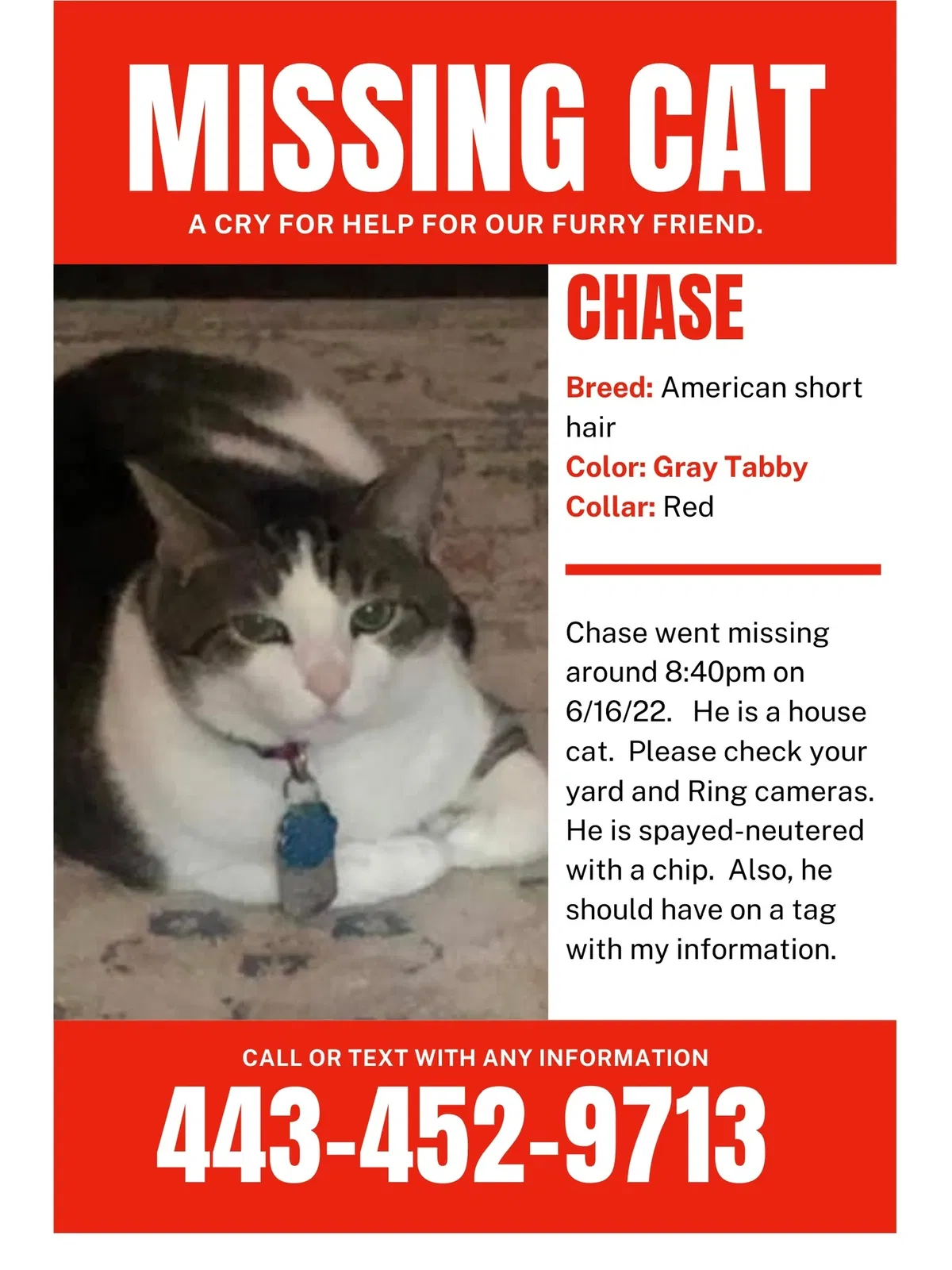 Lost cat in Suffolk, VA, 23434
