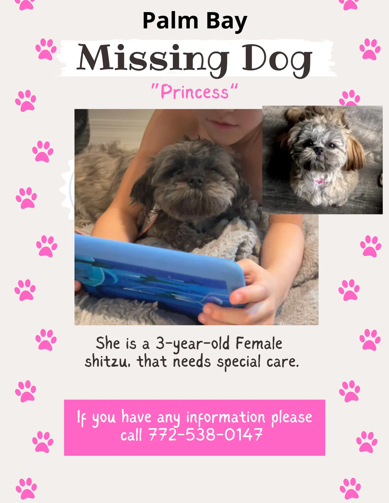 Lost dog in Palm Bay, FL, 32907
