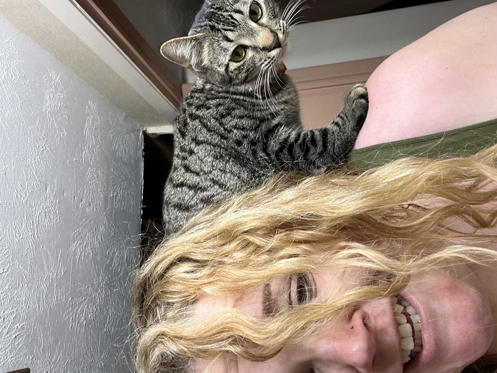 Lost cat in Omaha, NE, 68144