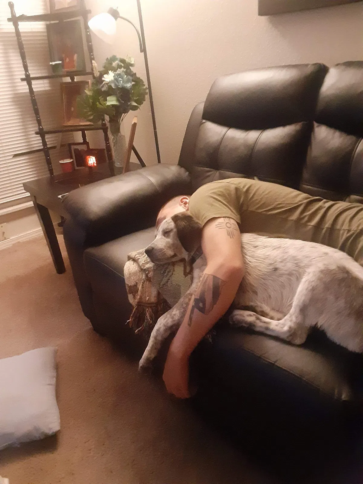 Lost dog in Edmond, OK, 73034