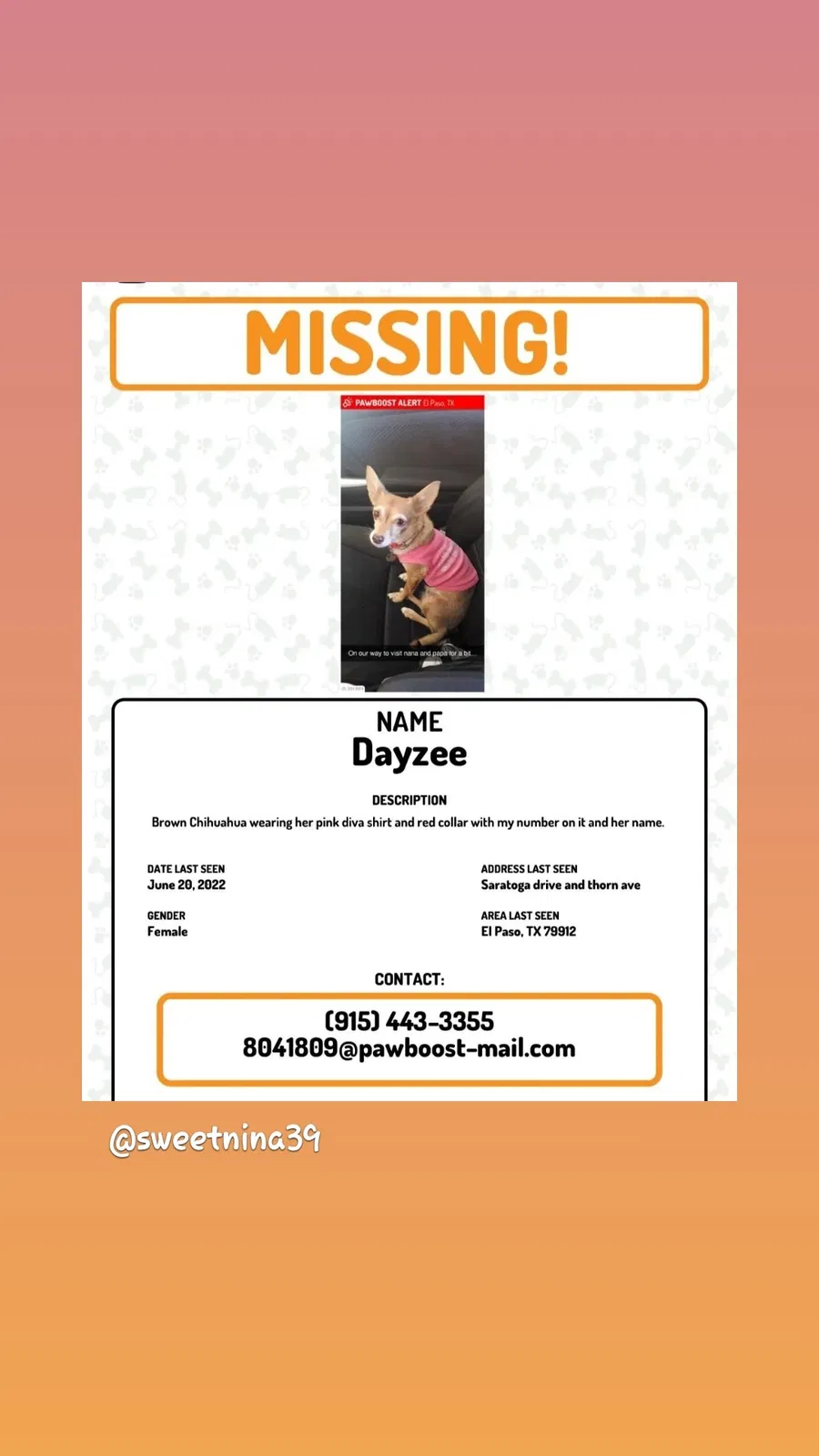 Lost dog in El Paso, TX, 79912