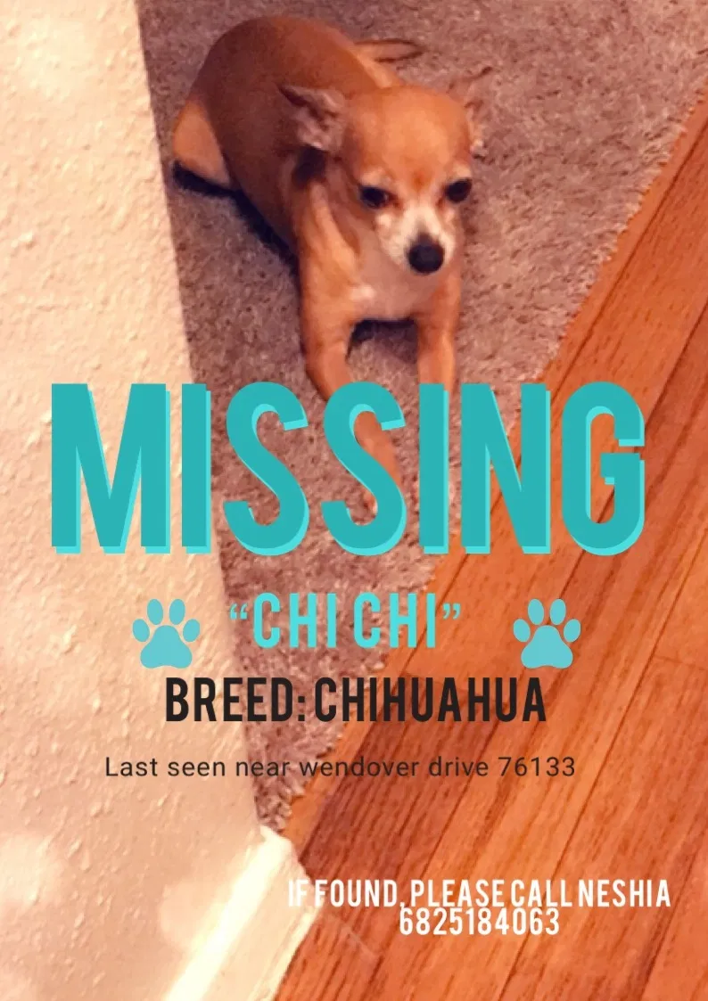 Lost dog in Fort Worth, TX, 76133