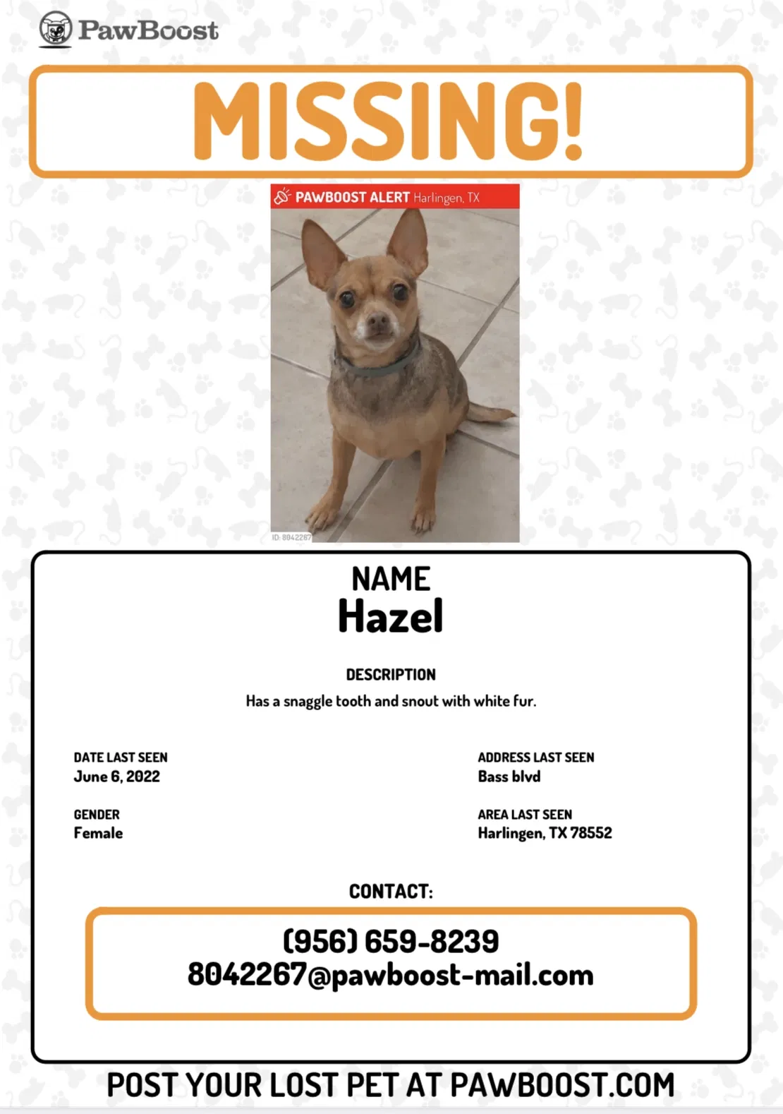 Lost dog in Harlingen, TX, 78552