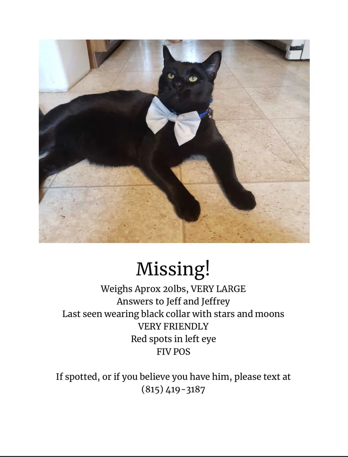 Lost cat in Denton, TX, 76205