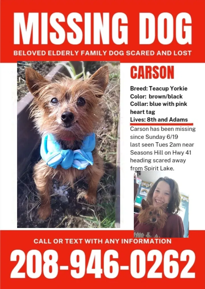 Lost dog in Spirit Lake, ID, 83869