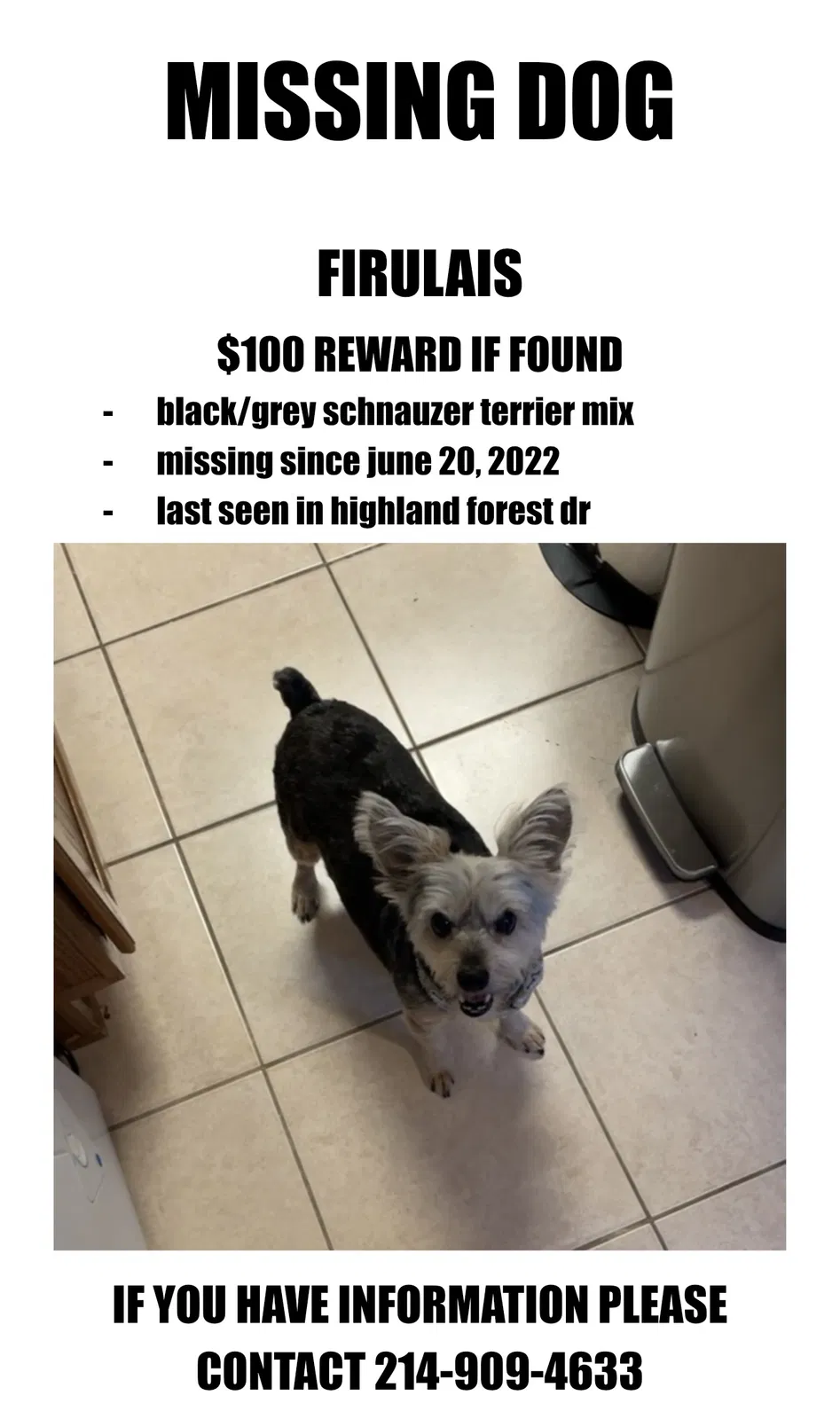 Lost dog in Lewisville, TX, 75077