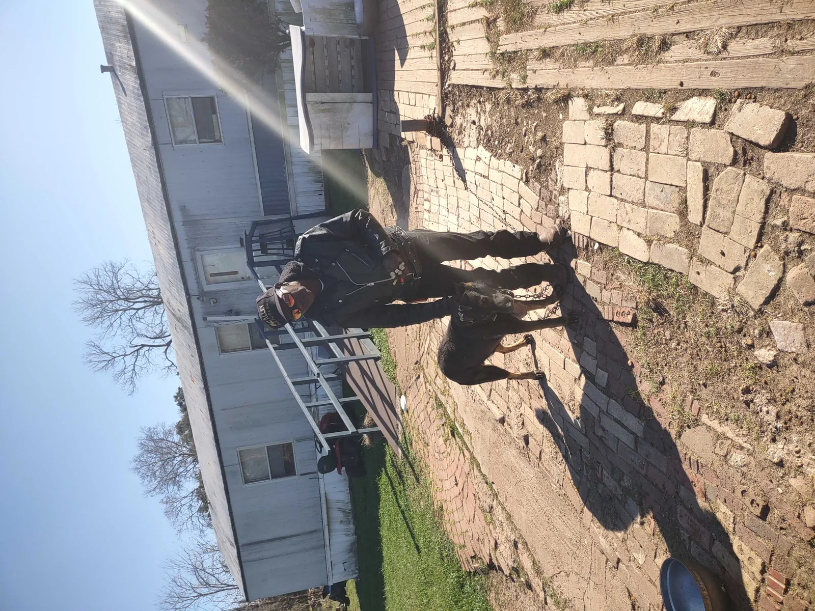 Lost dog in Richmond, TX, 77469