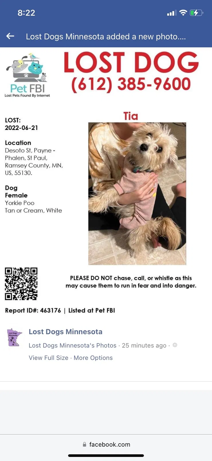 Lost dog in Saint Paul, MN, 55130