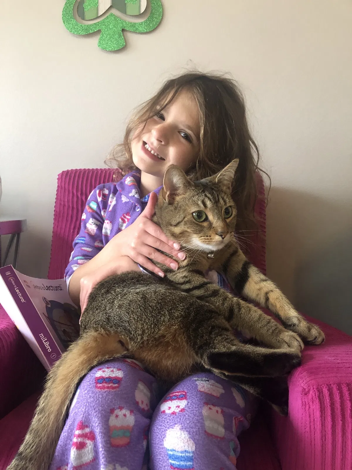 Lost cat in Terrell, NC, 28682