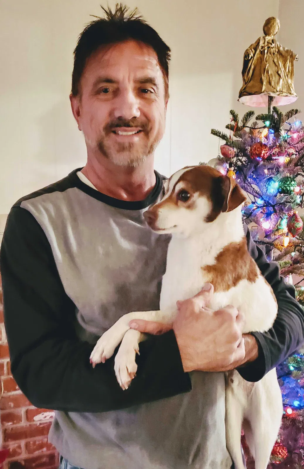 Lost dog in Clovis, CA, 93611