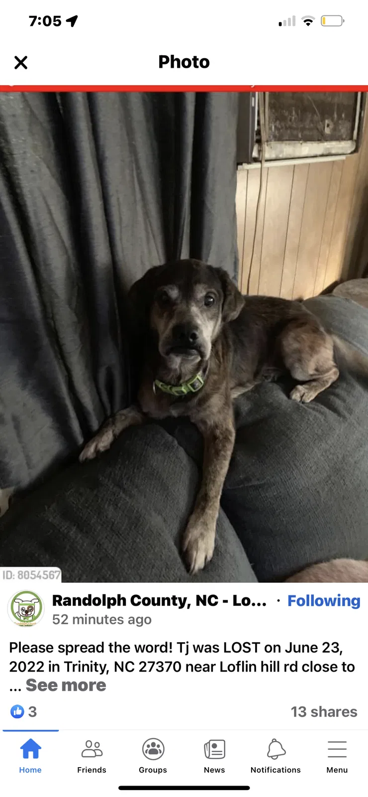 Lost dog in Trinity, NC, 27370