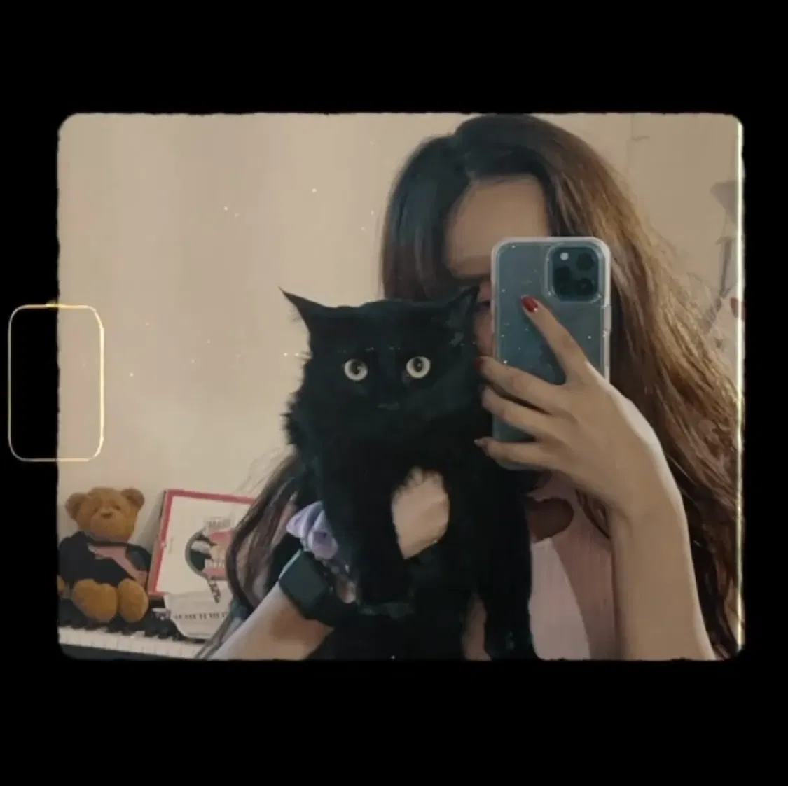 Lost cat in El Paso, TX, 79912
