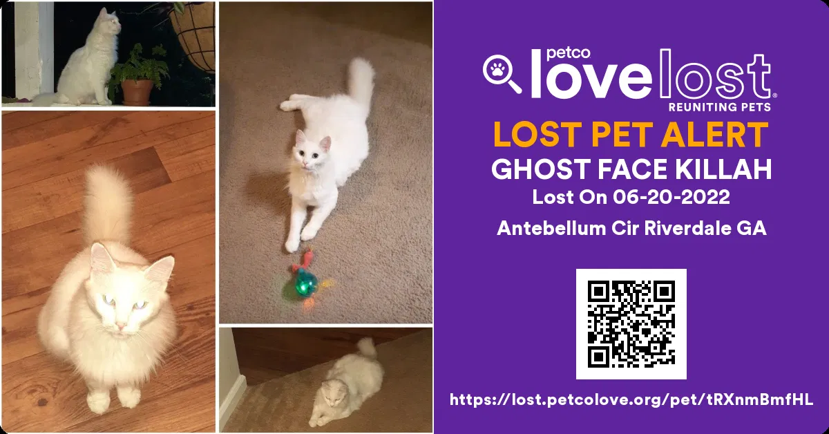 Lost cat in Riverdale, GA, 30274
