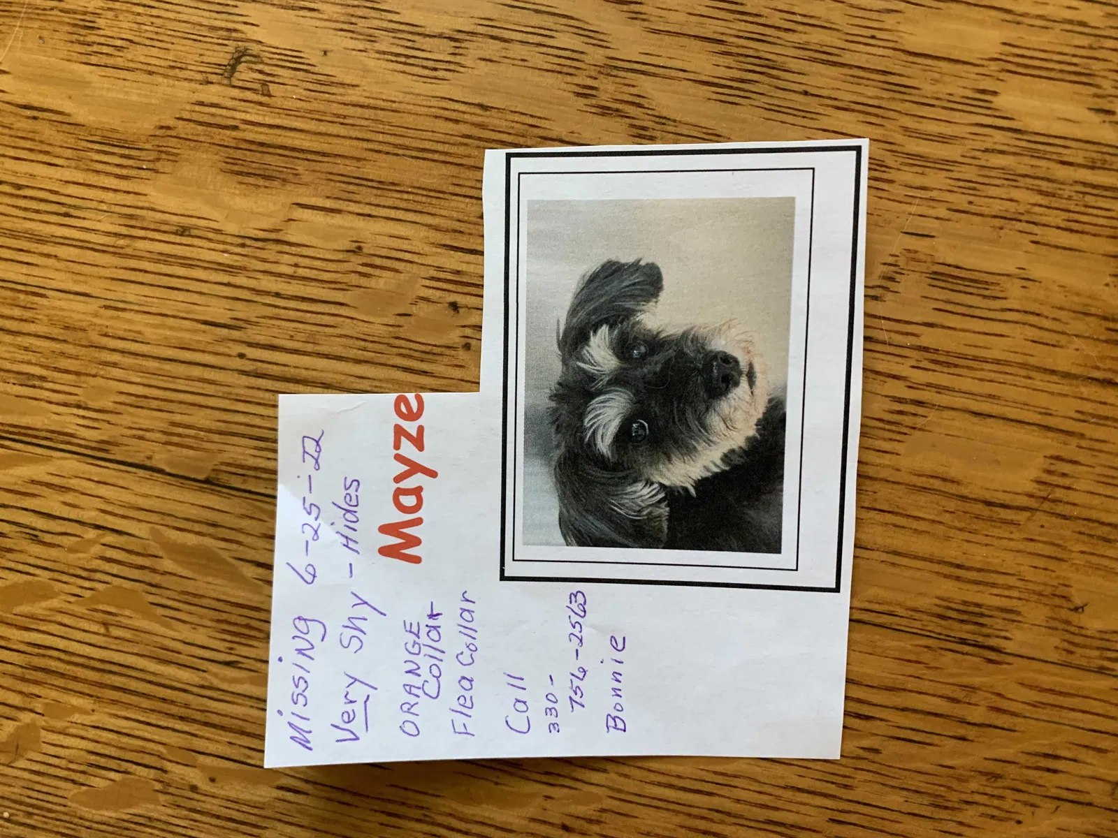 Lost dog in Navarre, OH, 44662