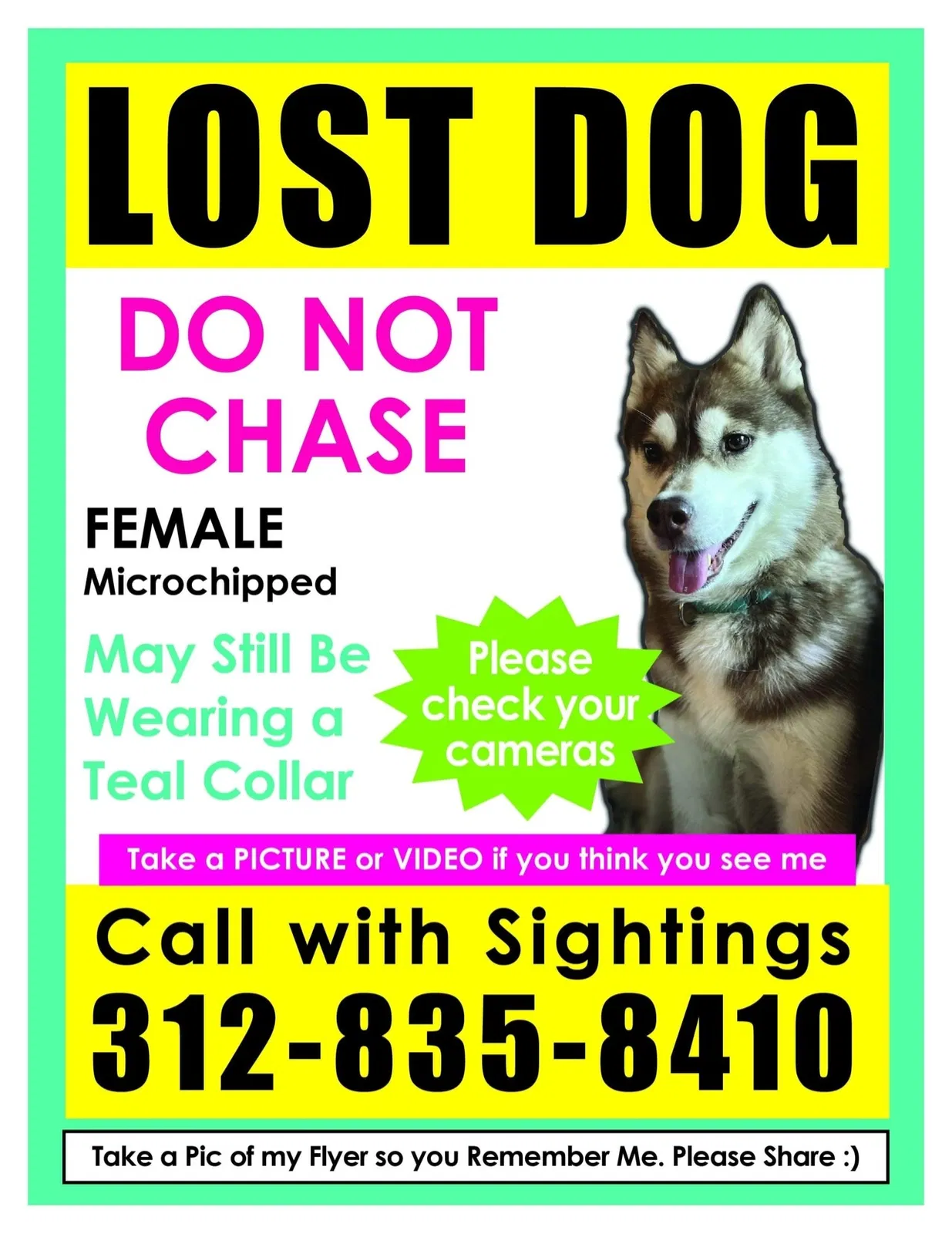 Lost dog in Chicago, IL, 60643