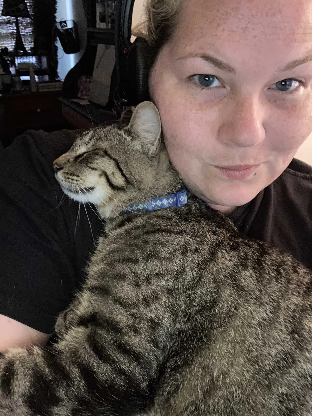 Lost cat in Hixson, TN, 37343