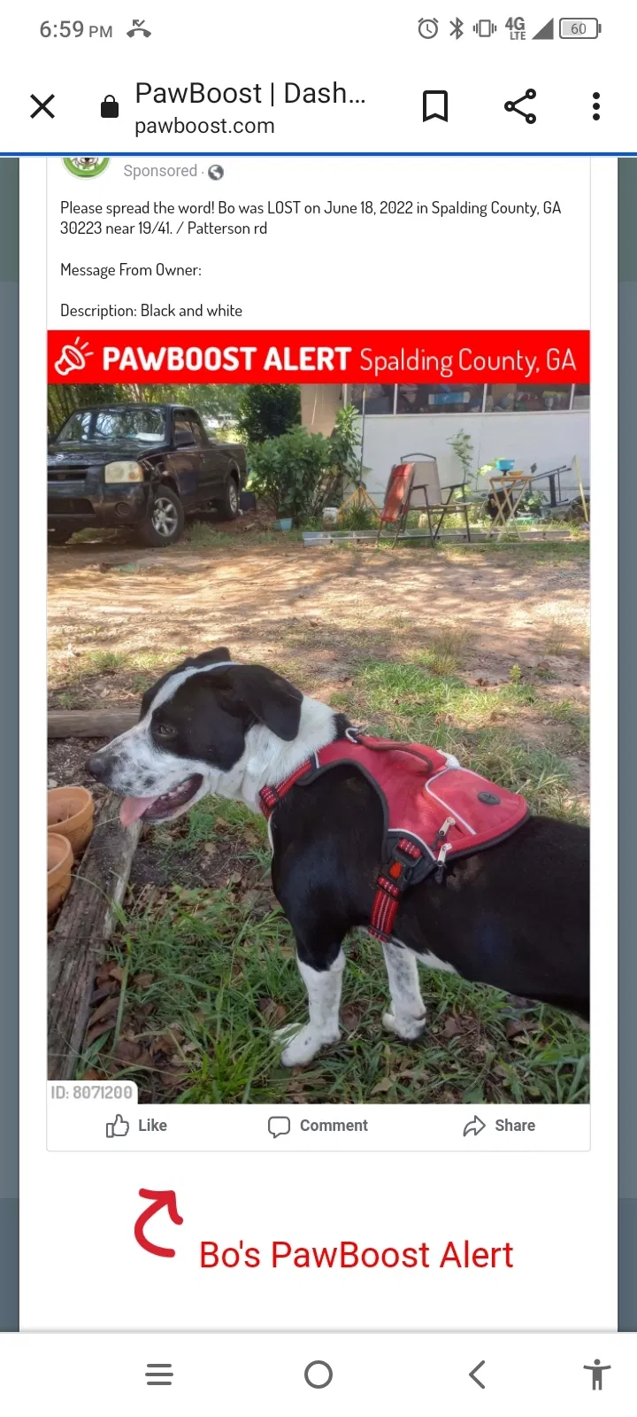 Lost dog in Griffin, GA, 30223