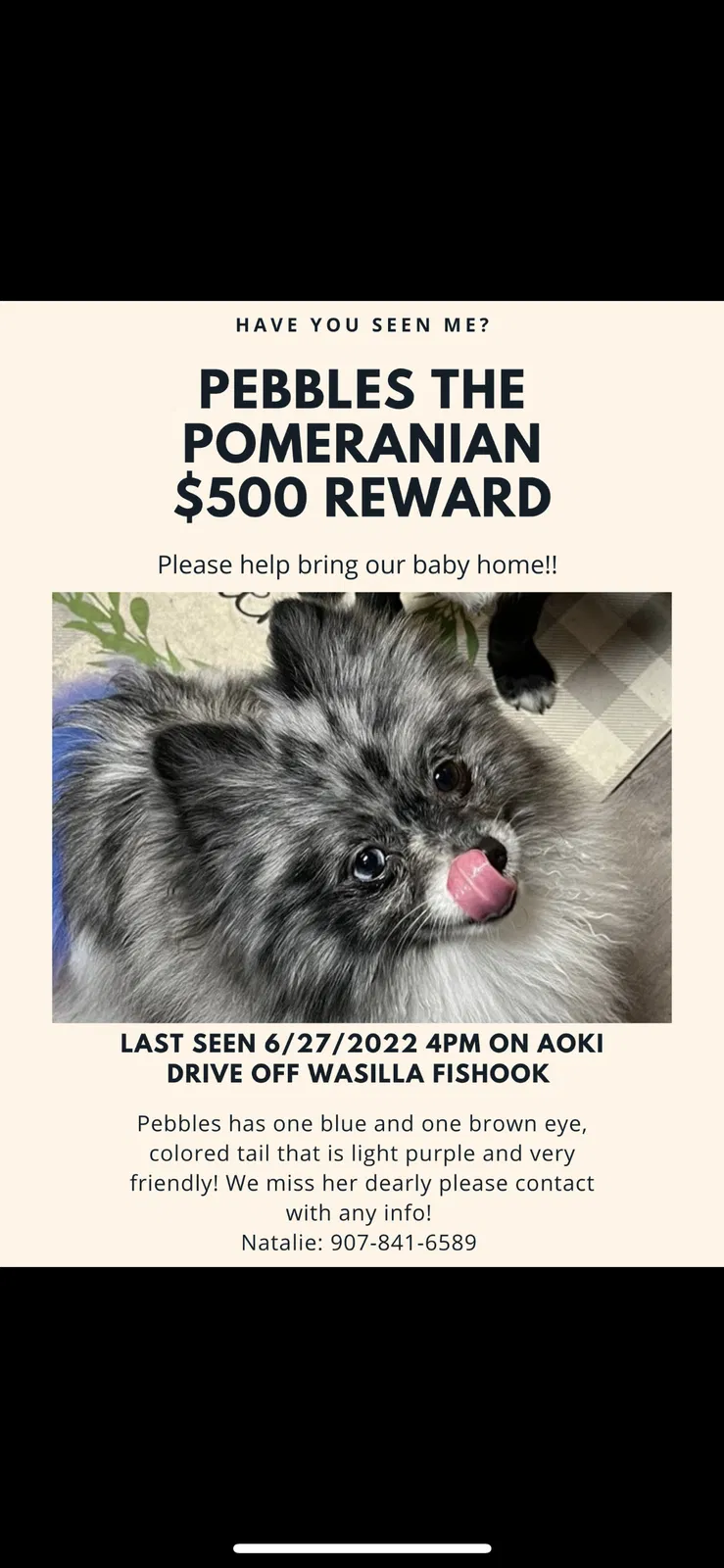 Lost dog in Wasilla, AK, 99654