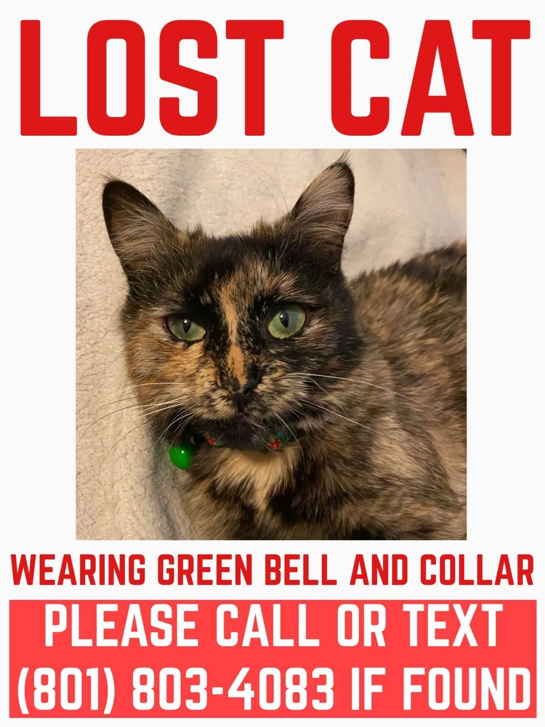 Lost cat in Salt Lake City, UT, 84119