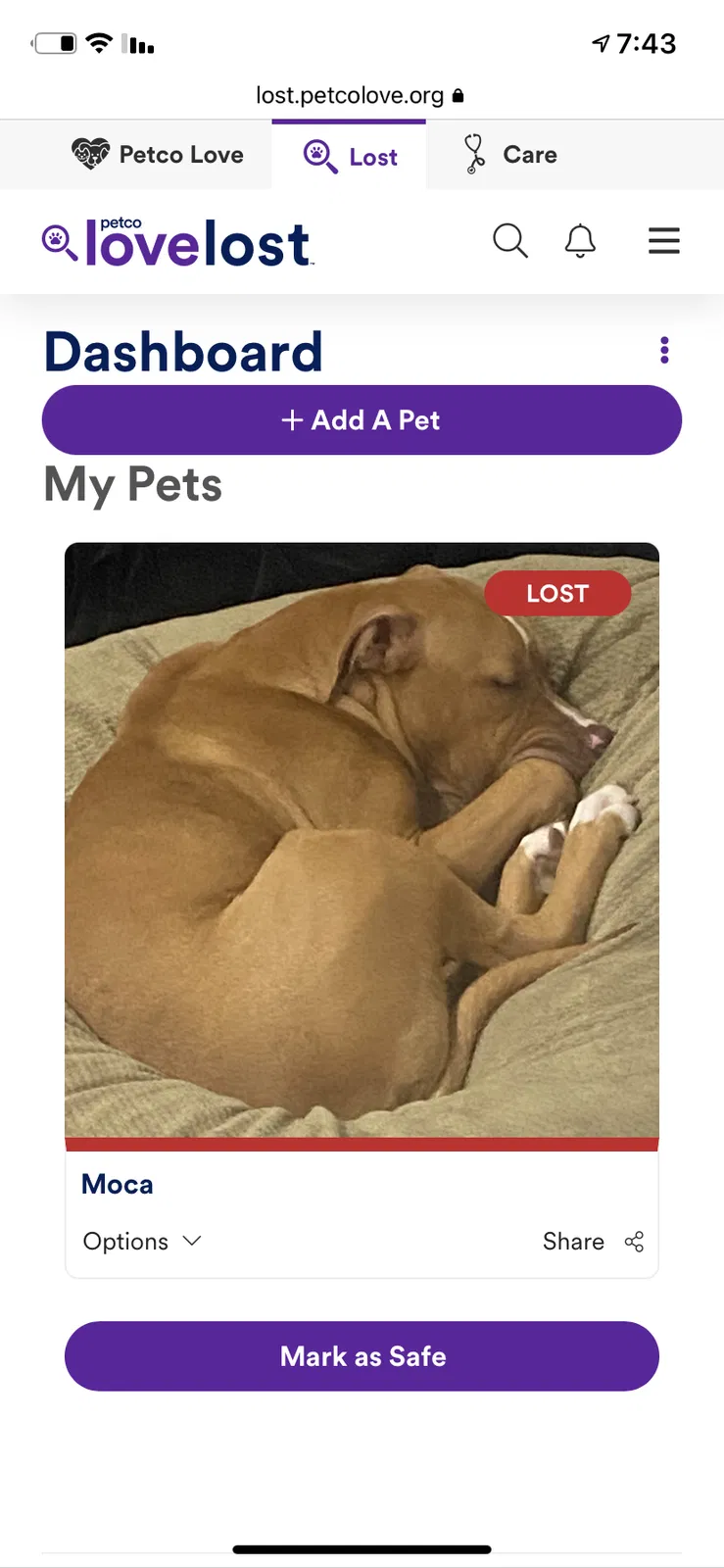 Lost dog in Houston, TX, 77035