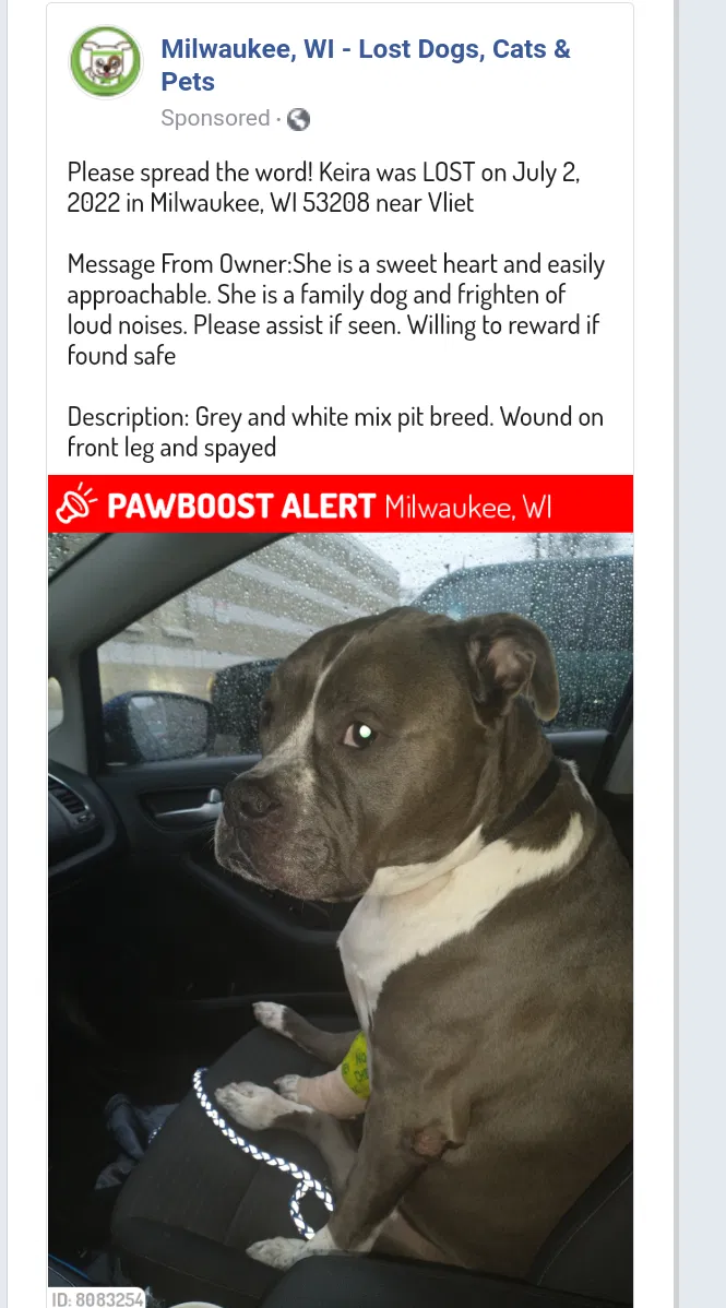 Lost dog in Milwaukee, WI, 53208