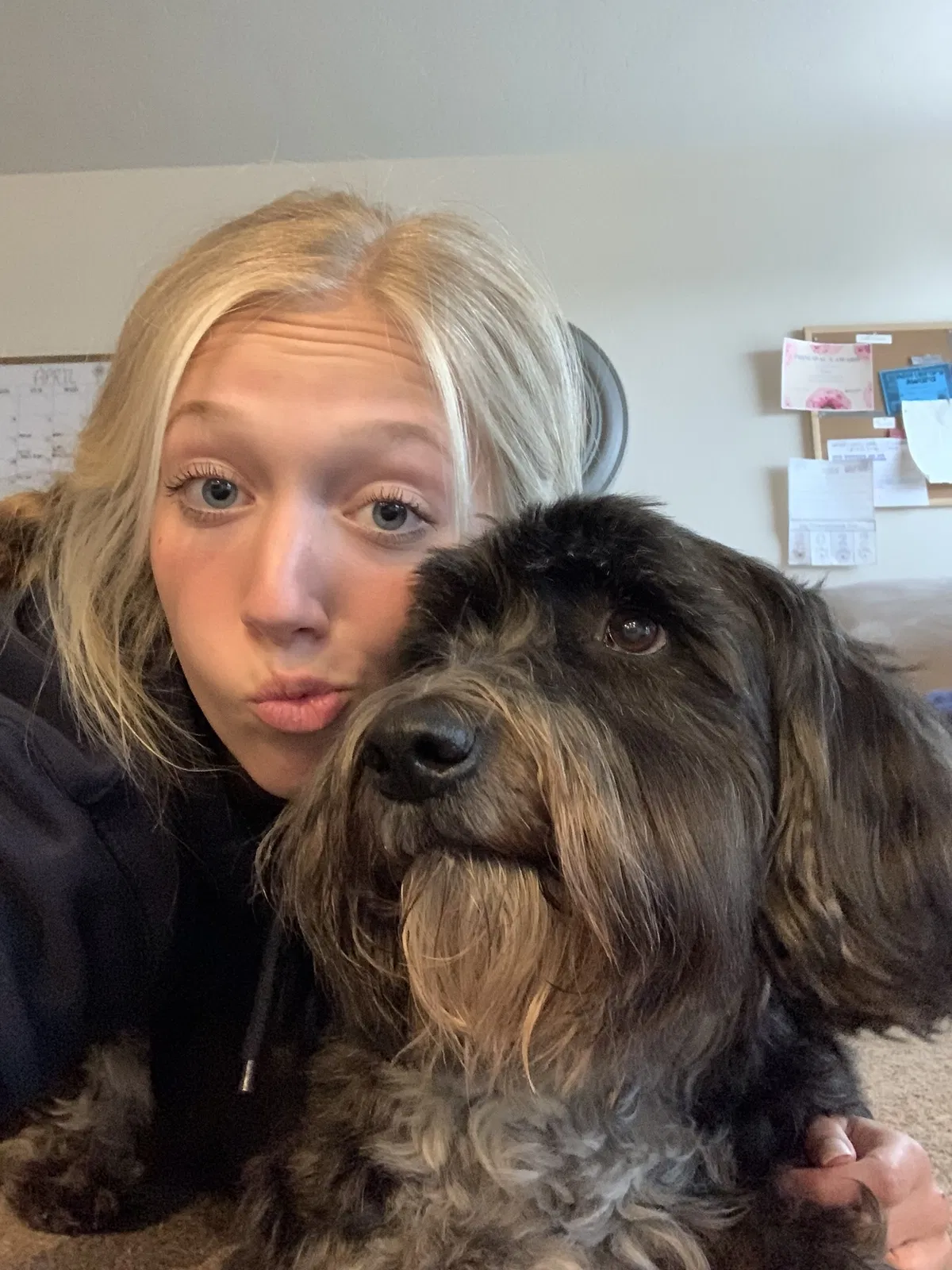 Lost dog in Caldwell, ID, 83607