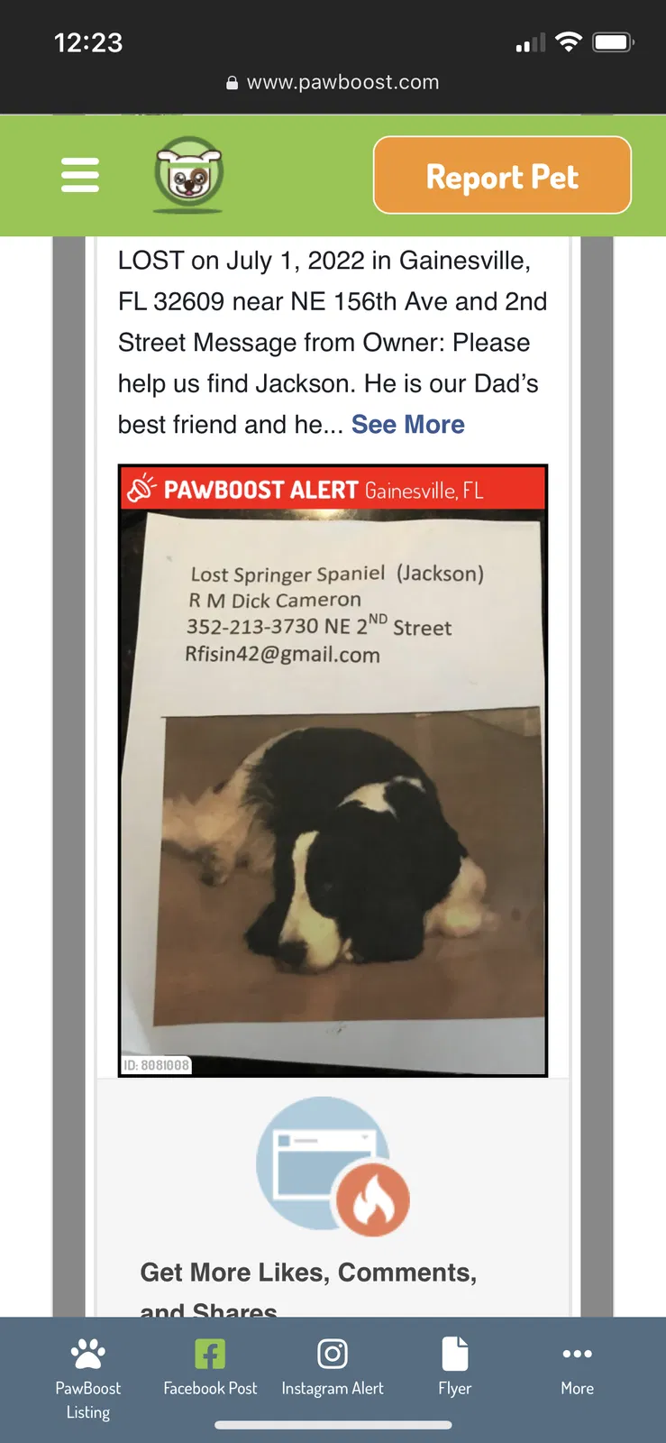 Lost dog in Gainesville, FL, 32609