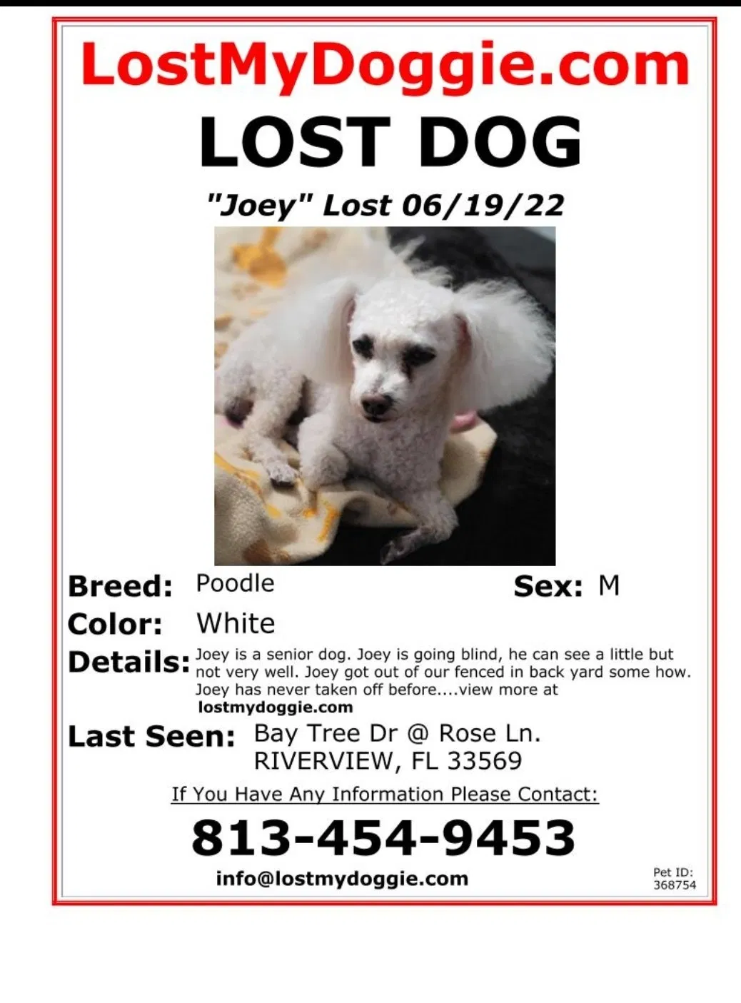 Lost dog in Riverview, FL, 33569