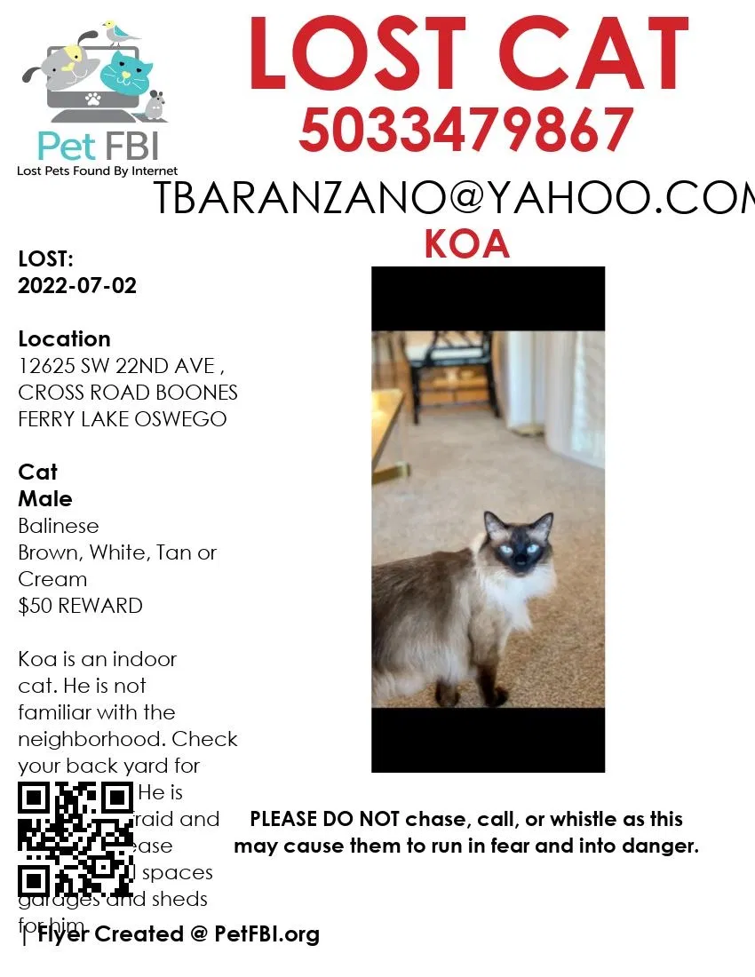Lost cat in Lake Oswego, OR, 97034