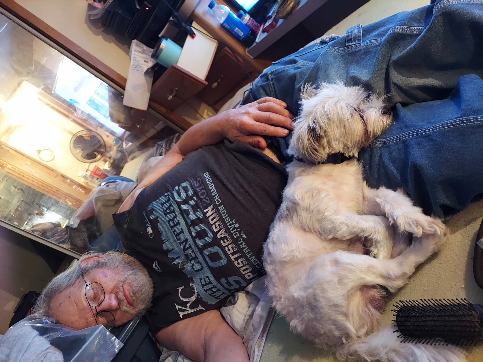 Lost dog in Lathrop, MO, 64465