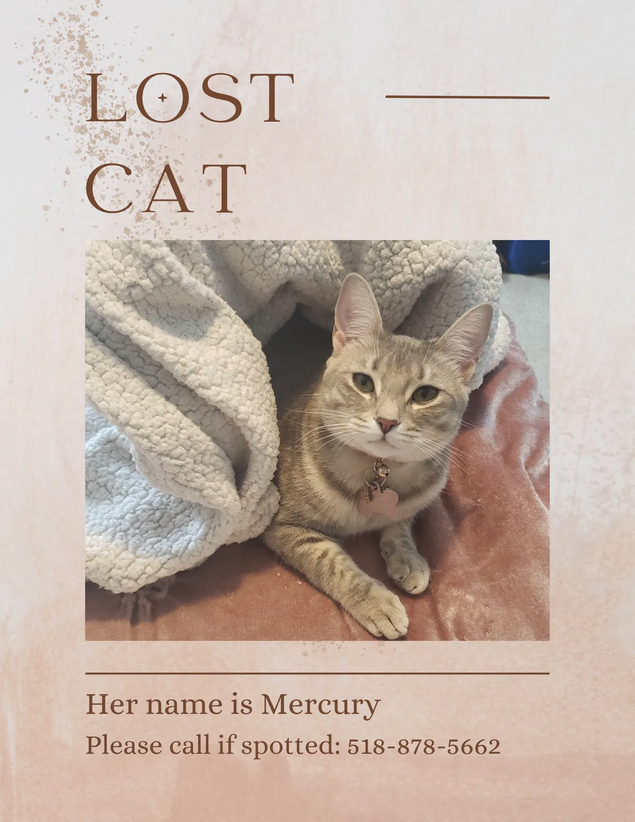 Lost cat in Fairburn, GA, 30213