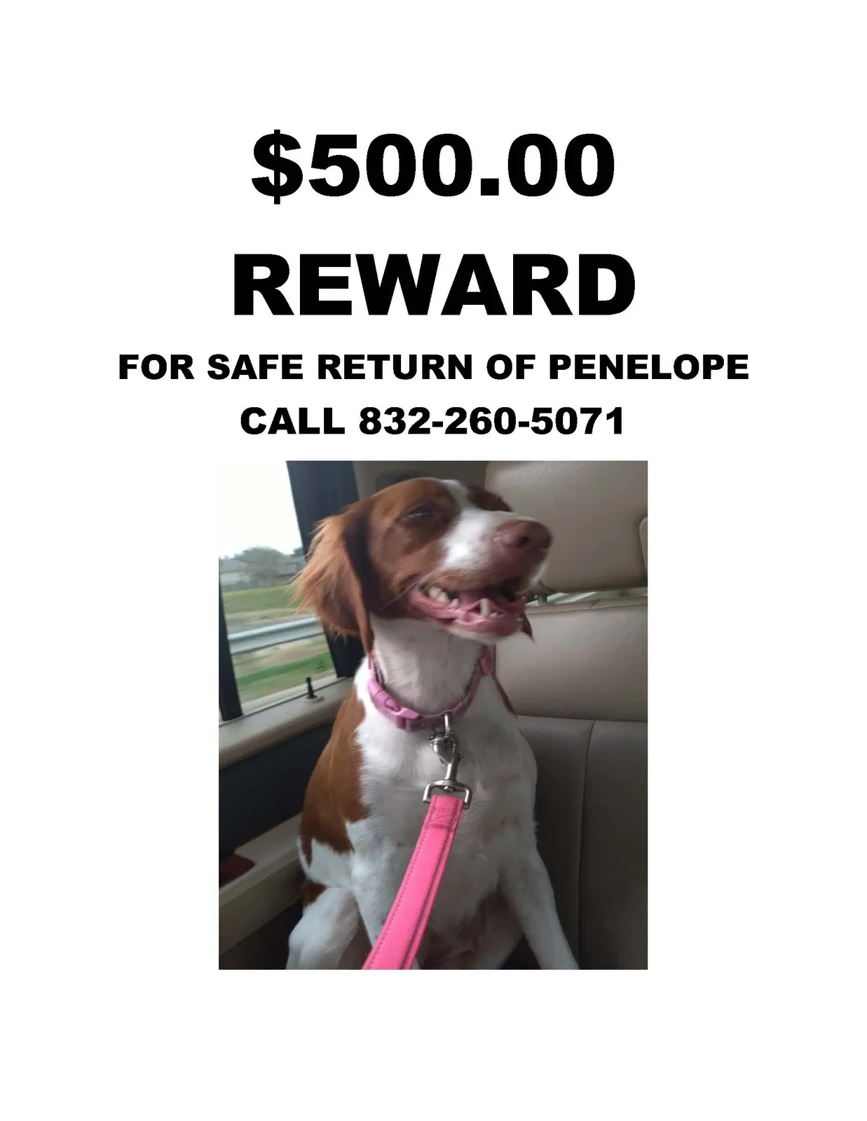 Lost dog in Katy, TX, 77449