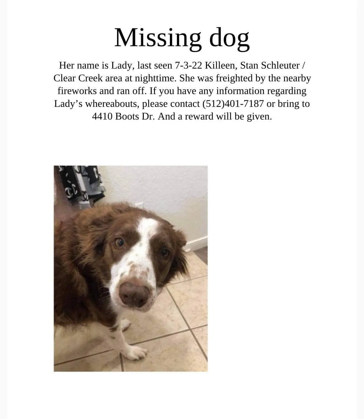 Lost dog in Killeen, TX, 76549