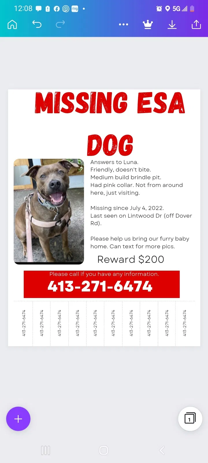 Lost dog in Clarksville, TN, 37042