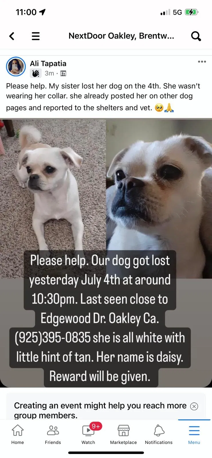 Lost dog in Oakley, CA, 94561
