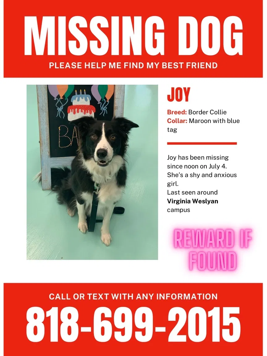 Lost dog in Virginia Beach, VA, 23462