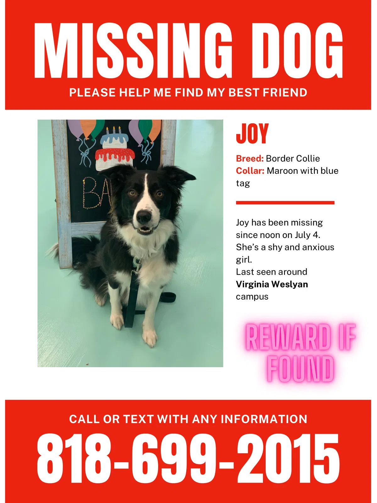 Lost dog in Virginia Beach, VA, 23462
