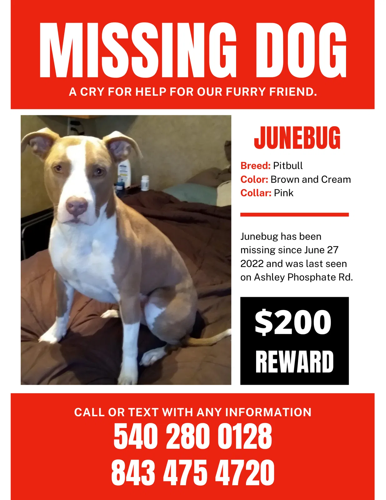 Lost dog in North Charleston, SC, 29420