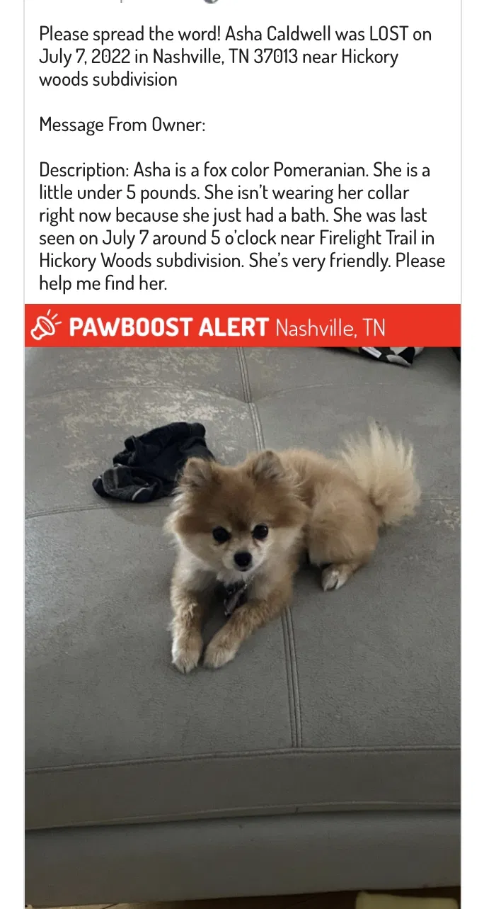 Lost dog in Antioch, TN, 37013