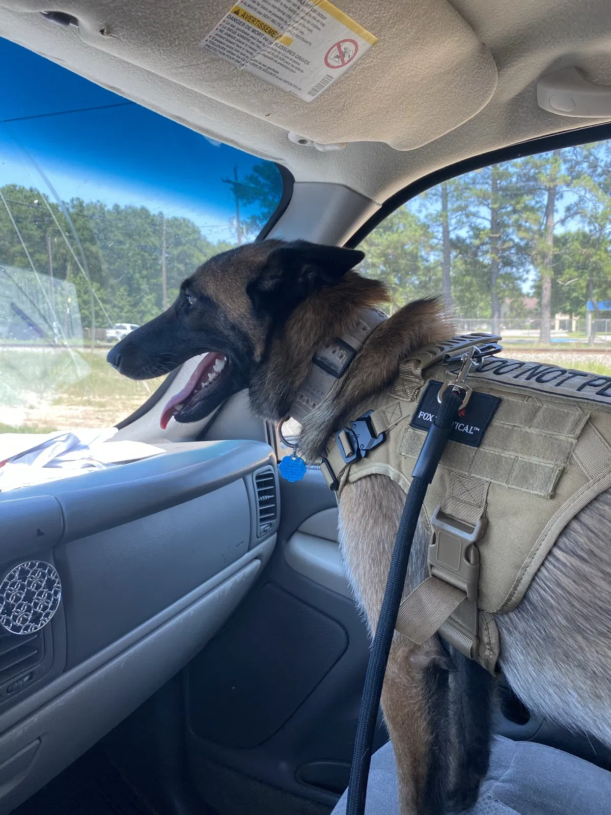 Lost dog in Splendora, TX, 77372