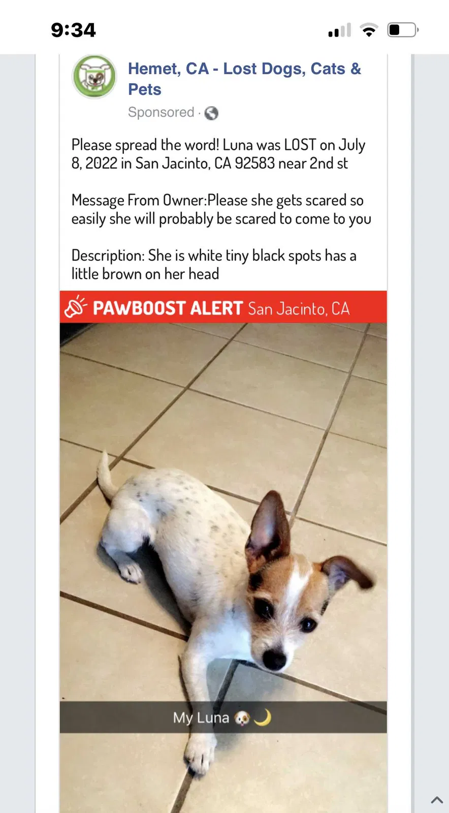 Lost dog in San Jacinto, CA, 92583