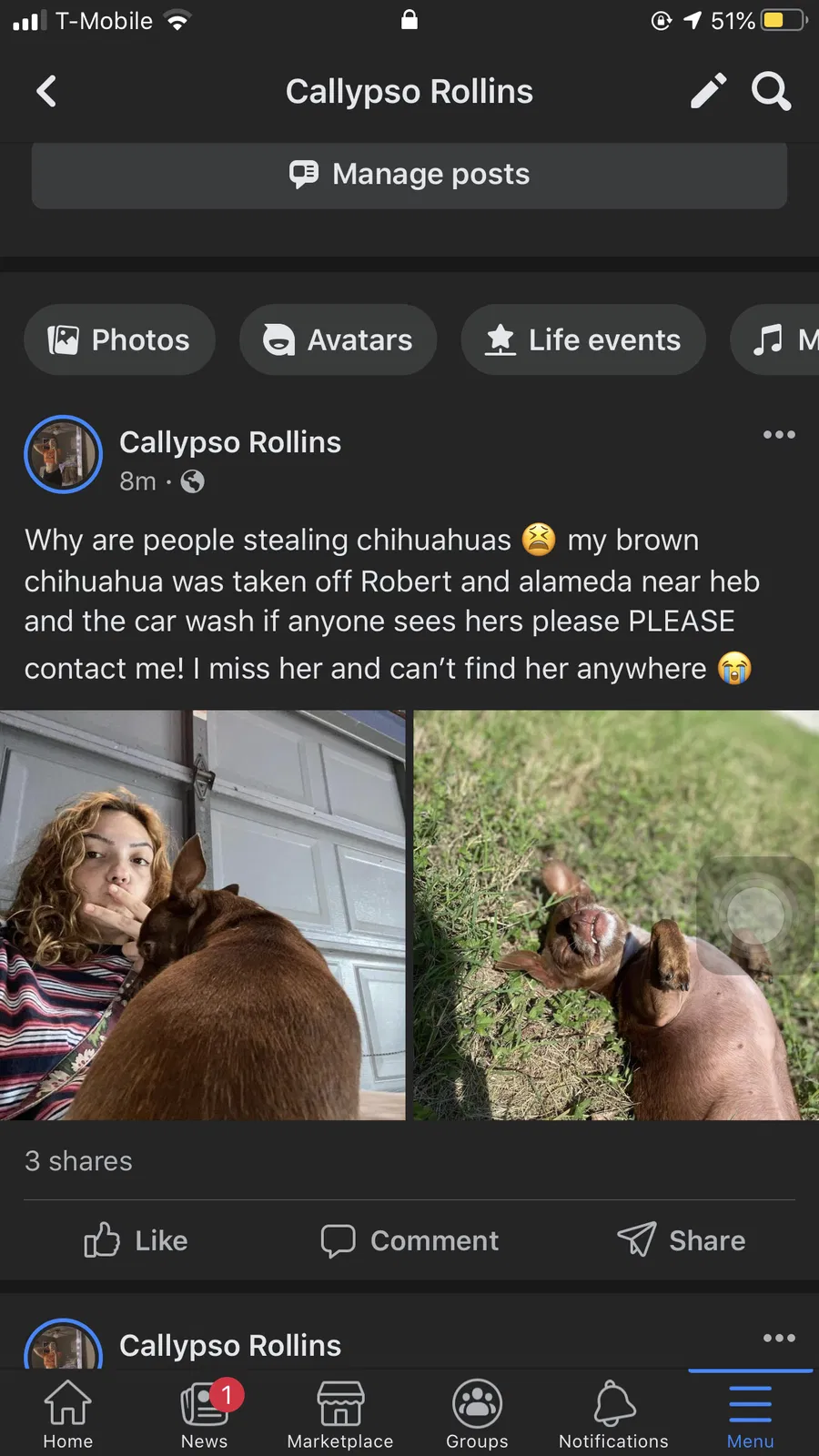 Lost dog in Corpus Christi, TX, 78412