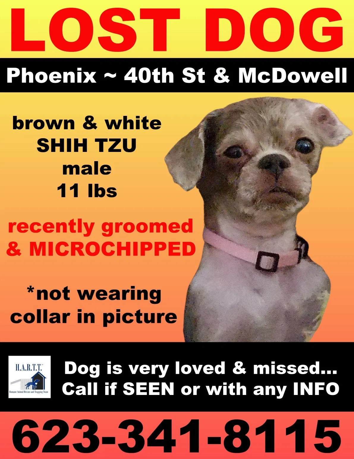 Lost dog in Phoenix, AZ, 85008