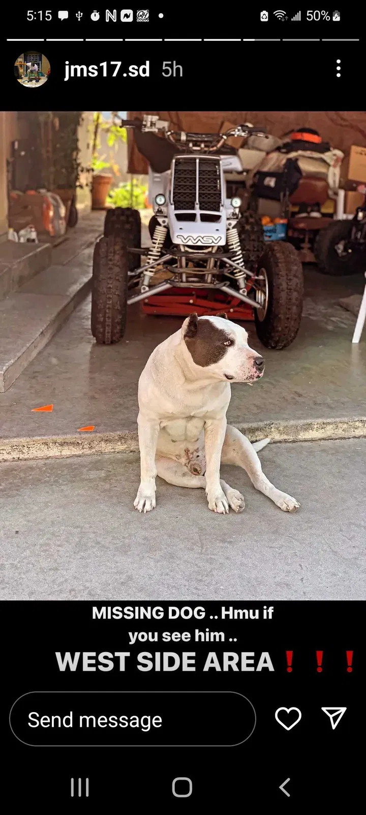 Lost dog in San Bernardino, CA, 92411