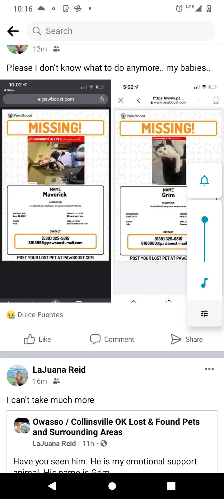 Lost cat in Broken Arrow, OK, 74011